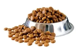 caramel color for pet food in india