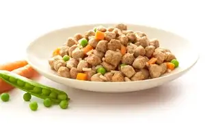 caramel color for pet food in gujarat