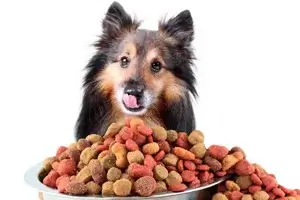 Caramel Colour for Pet Foods